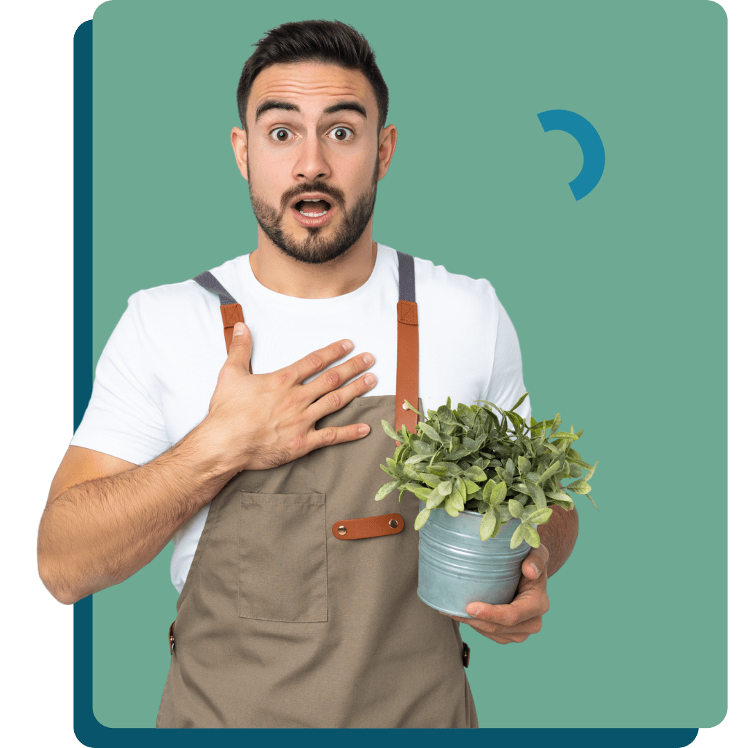 Brevet de Maîtrise Fleuriste (RNCP37866)